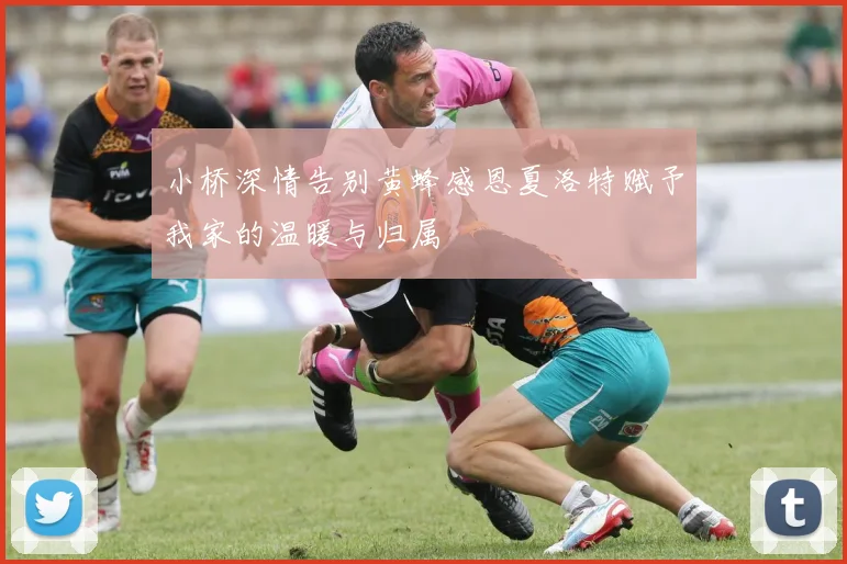 小桥深情告别黄蜂感恩夏洛特赋予我家的温暖与归属