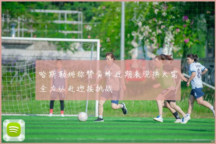 哈斯勒姆称赞黄蜂近期表现热火需全力以赴迎接挑战